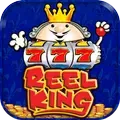 Reel King Megaways Slot