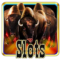 Slots Stampede